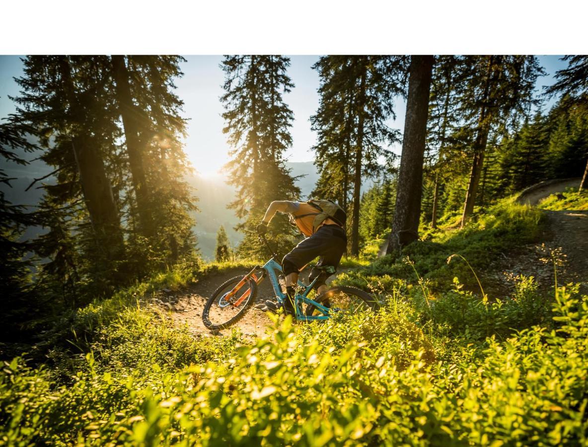 Apartments Niederseer Saalbach-Hinterglemm Ngoại thất bức ảnh